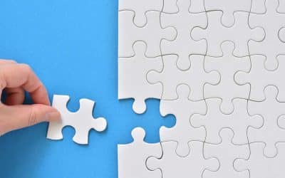 Personalentwicklung bei Mohr: Vom Auszubildenden zum Bachelor of Arts